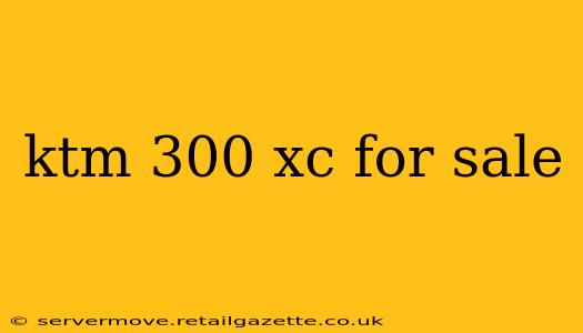 ktm 300 xc for sale