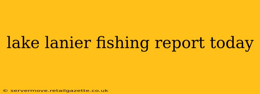lake lanier fishing report today
