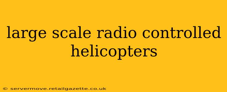 large scale radio controlled helicopters