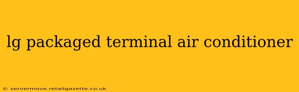 lg packaged terminal air conditioner