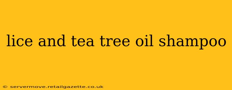 lice and tea tree oil shampoo