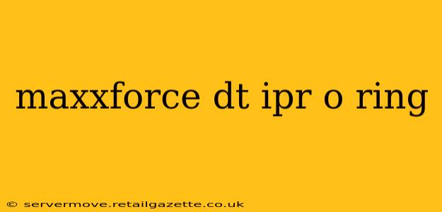 maxxforce dt ipr o ring