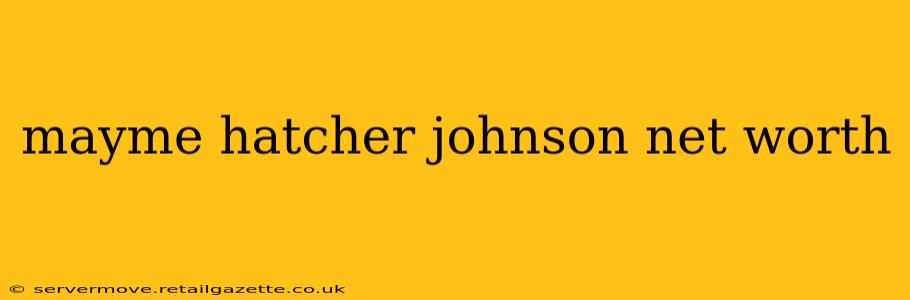 mayme hatcher johnson net worth