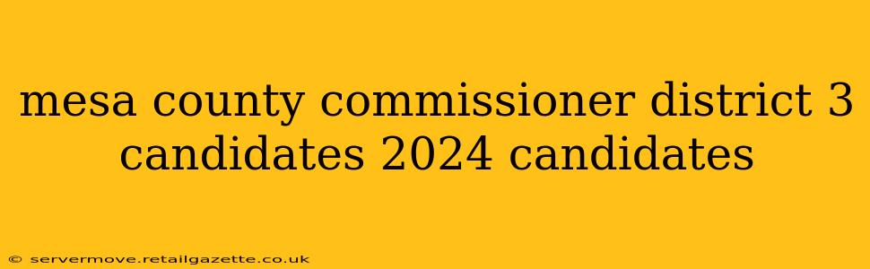 mesa county commissioner district 3 candidates 2024 candidates