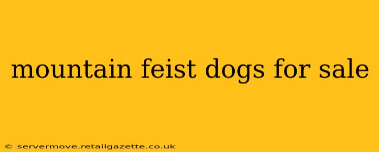 mountain feist dogs for sale