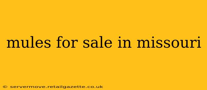 mules for sale in missouri