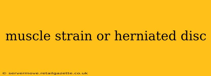 muscle strain or herniated disc