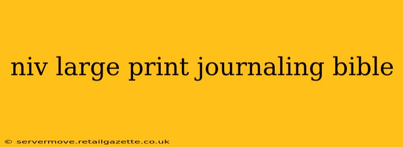 niv large print journaling bible