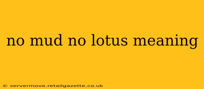 no mud no lotus meaning