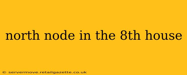 north node in the 8th house