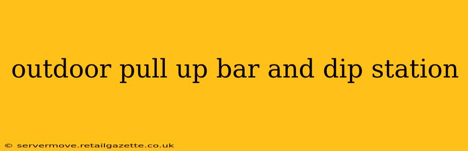 outdoor pull up bar and dip station