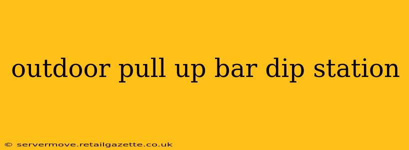 outdoor pull up bar dip station
