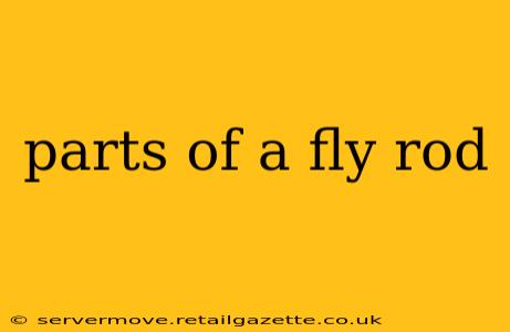 parts of a fly rod