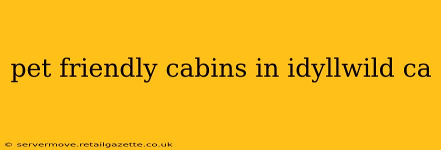 pet friendly cabins in idyllwild ca