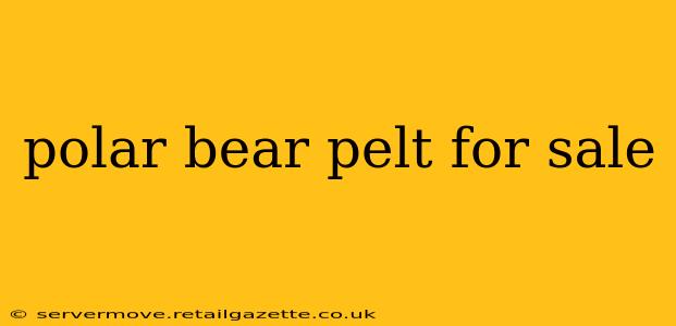 polar bear pelt for sale