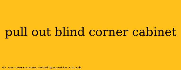 pull out blind corner cabinet