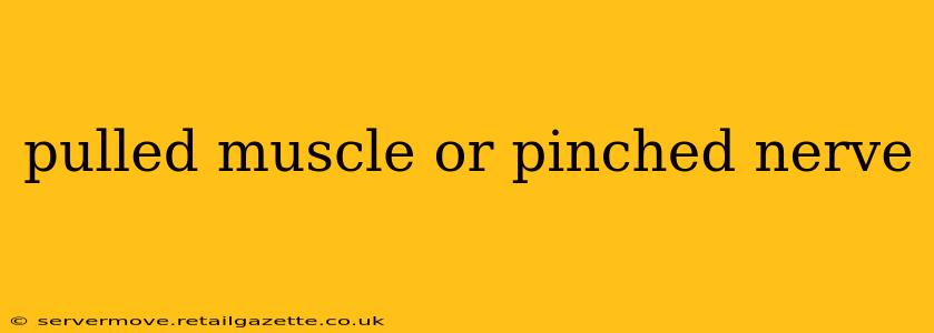 pulled muscle or pinched nerve