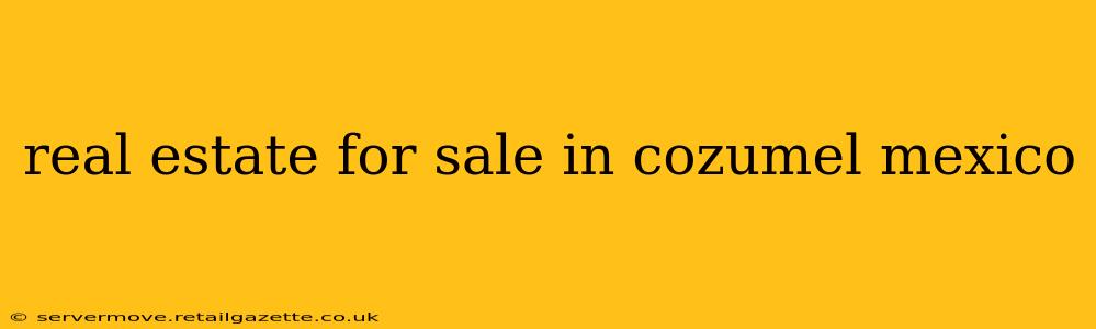 real estate for sale in cozumel mexico