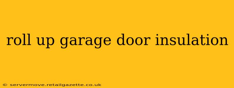 roll up garage door insulation