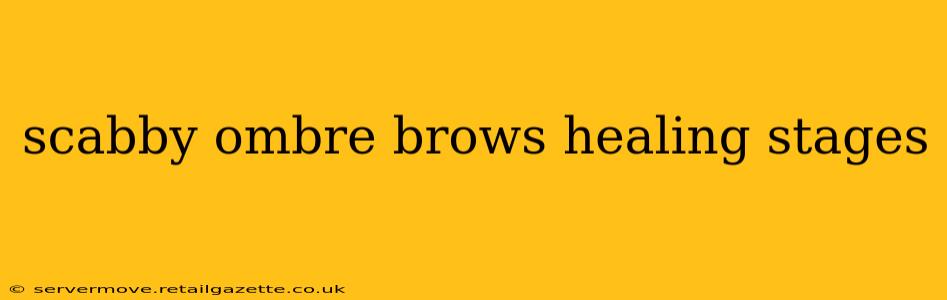 scabby ombre brows healing stages