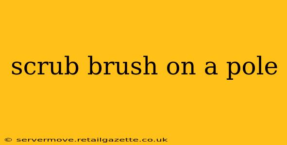 scrub brush on a pole