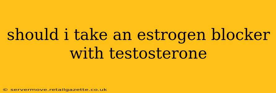 should i take an estrogen blocker with testosterone
