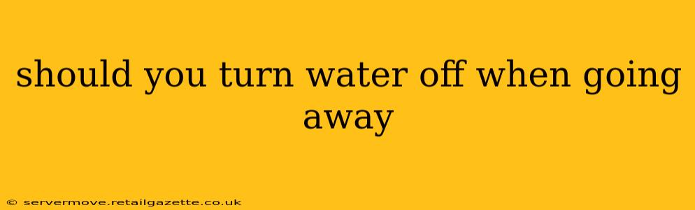 should you turn water off when going away