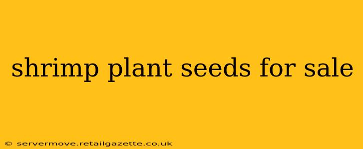 shrimp plant seeds for sale