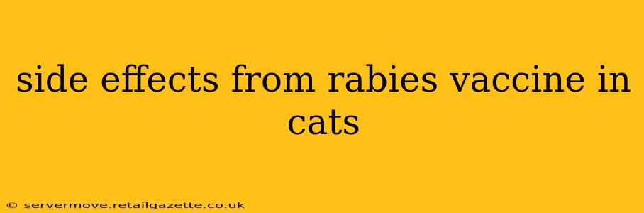 side effects from rabies vaccine in cats