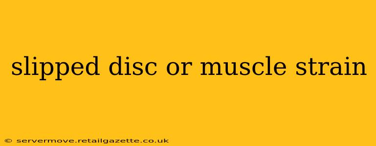 slipped disc or muscle strain