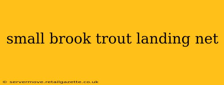 small brook trout landing net
