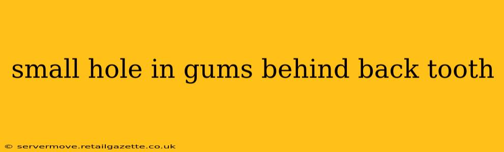 small hole in gums behind back tooth
