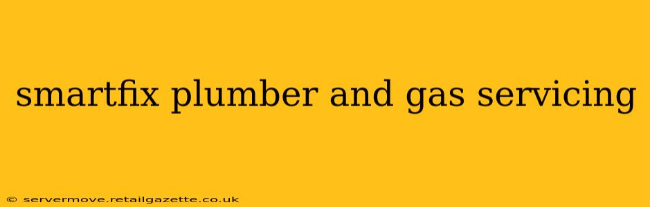 smartfix plumber and gas servicing