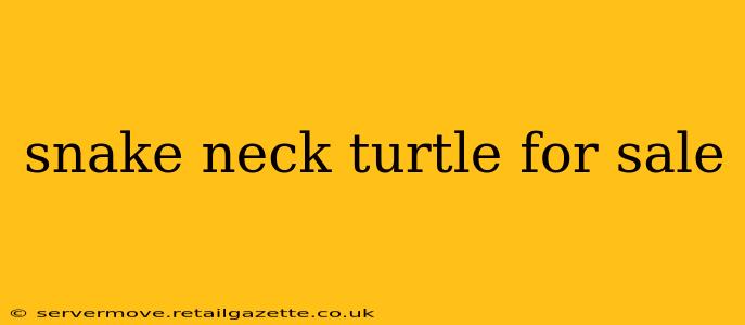 snake neck turtle for sale