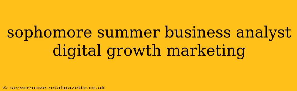 sophomore summer business analyst digital growth marketing