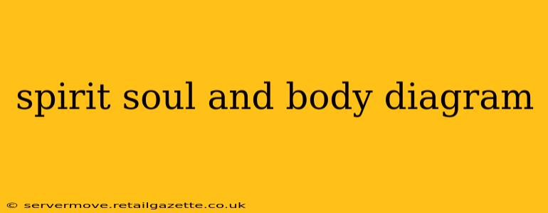 spirit soul and body diagram