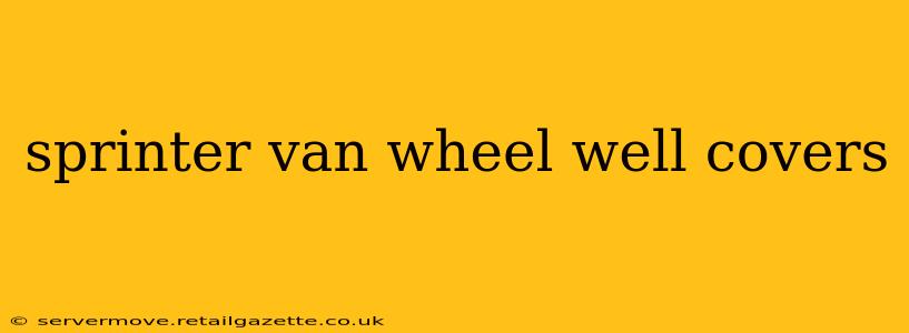 sprinter van wheel well covers