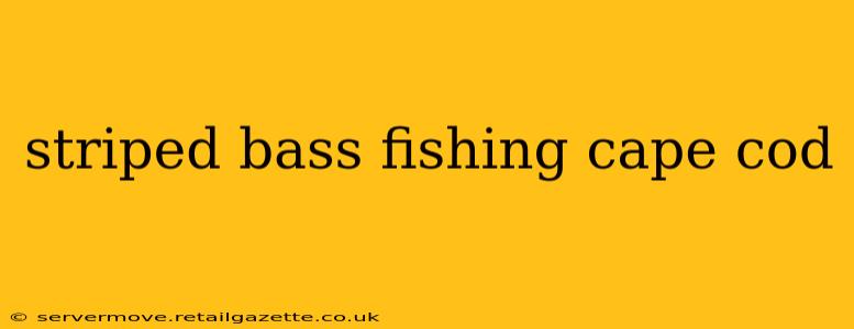 striped bass fishing cape cod