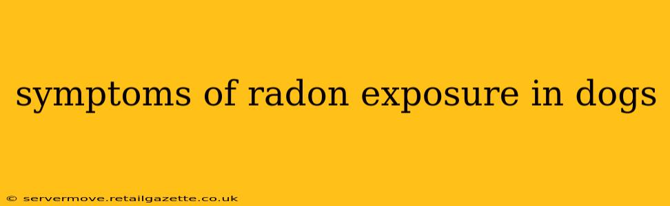 symptoms of radon exposure in dogs