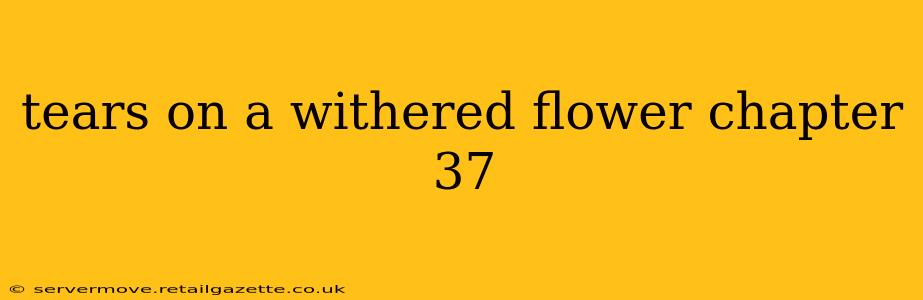 tears on a withered flower chapter 37