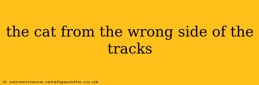 the cat from the wrong side of the tracks