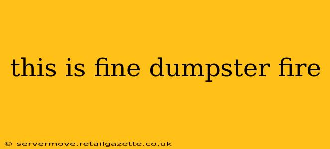 this is fine dumpster fire