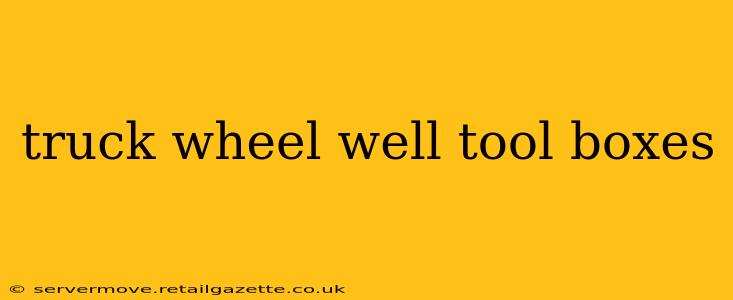 truck wheel well tool boxes