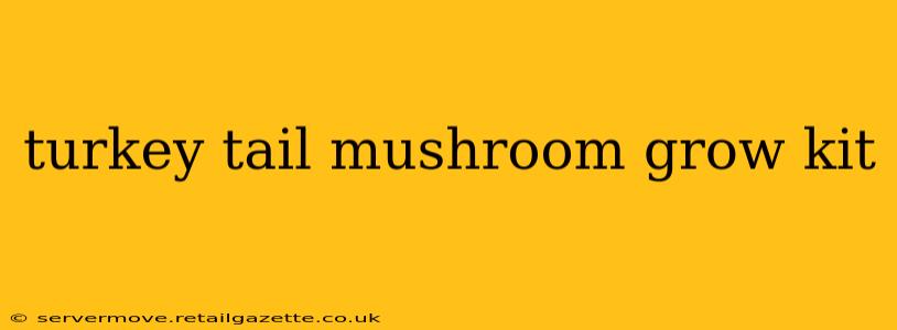 turkey tail mushroom grow kit