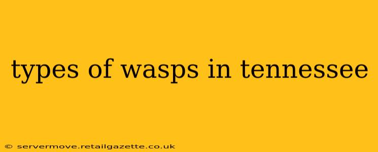 types of wasps in tennessee