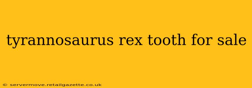 tyrannosaurus rex tooth for sale