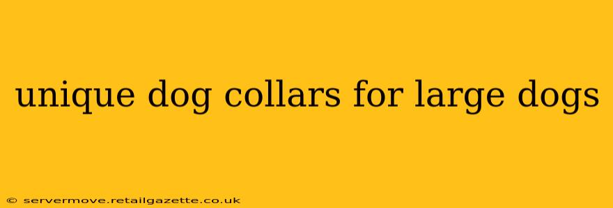 unique dog collars for large dogs