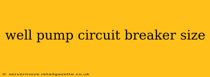 well pump circuit breaker size