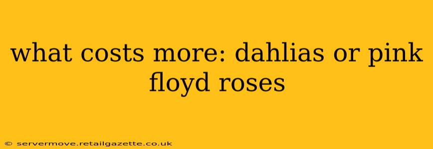 what costs more: dahlias or pink floyd roses