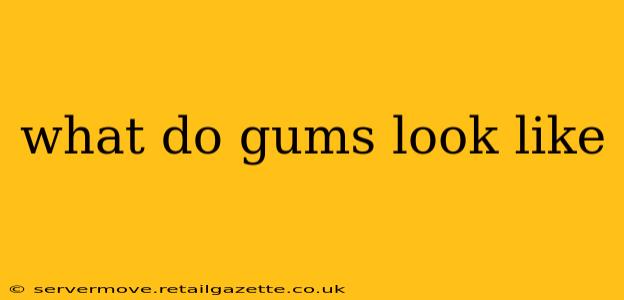 what do gums look like